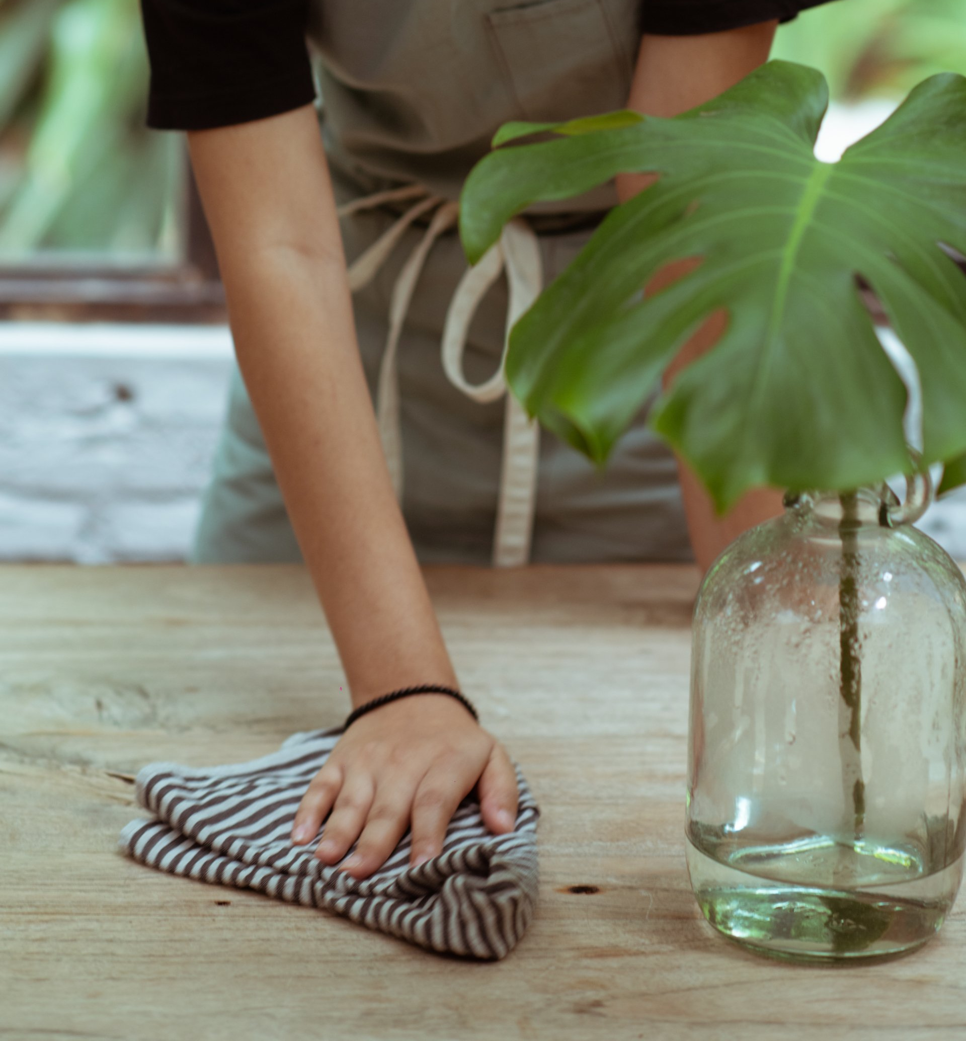 Organically Maid in Arlington, TX (2)