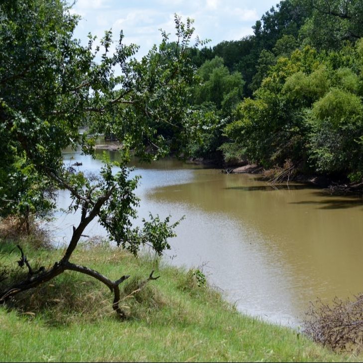 Janette Padgett Real Estate, LLC in Goldthwaite, TX