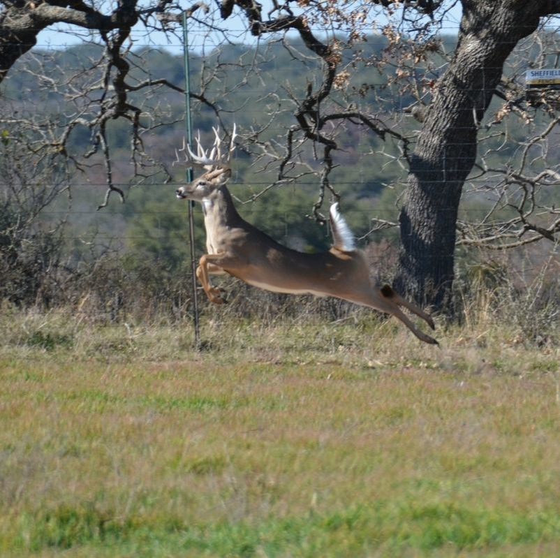 Janette Padgett Real Estate, LLC in Goldthwaite, TX (2)