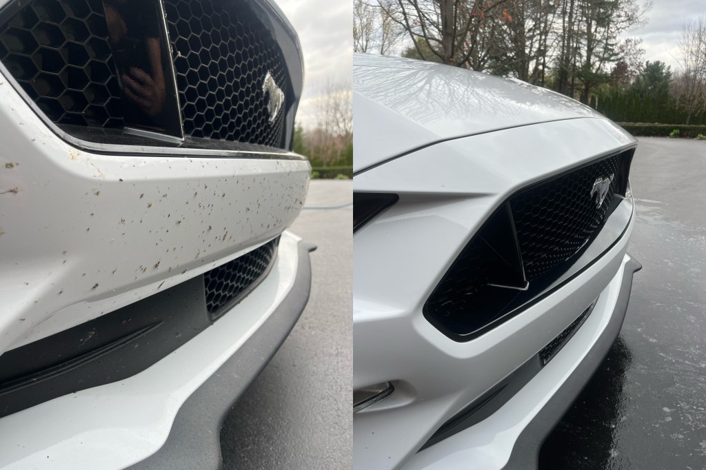 Better Than Magic Mobile Detailing in Roseville, MI (6)