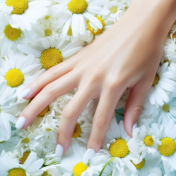 Prime Nail Lounge in Woodstock, GA (5)