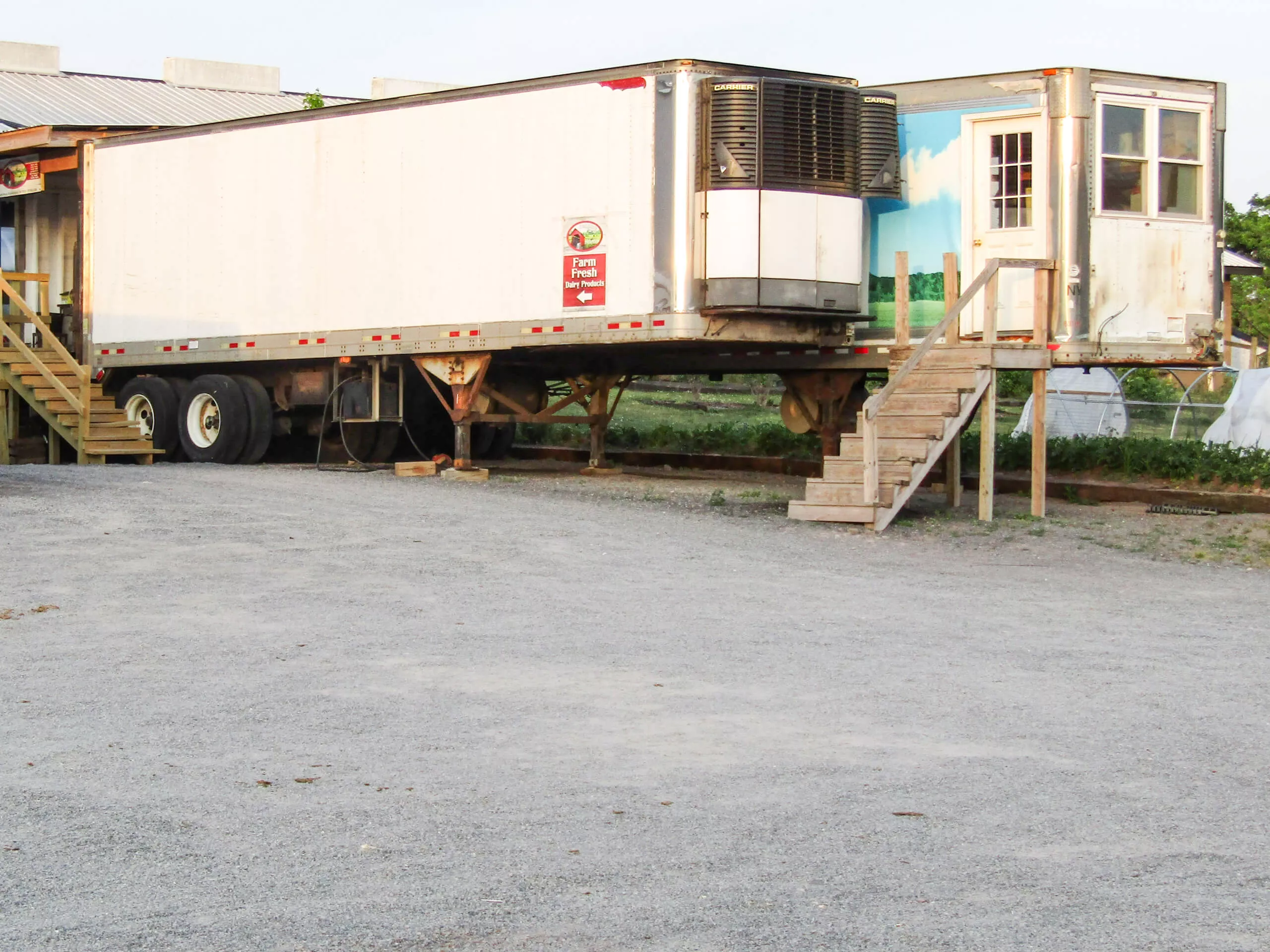 Bei Hollow Farm Raw Milk & Cheese in Elizabethville, PA (3)