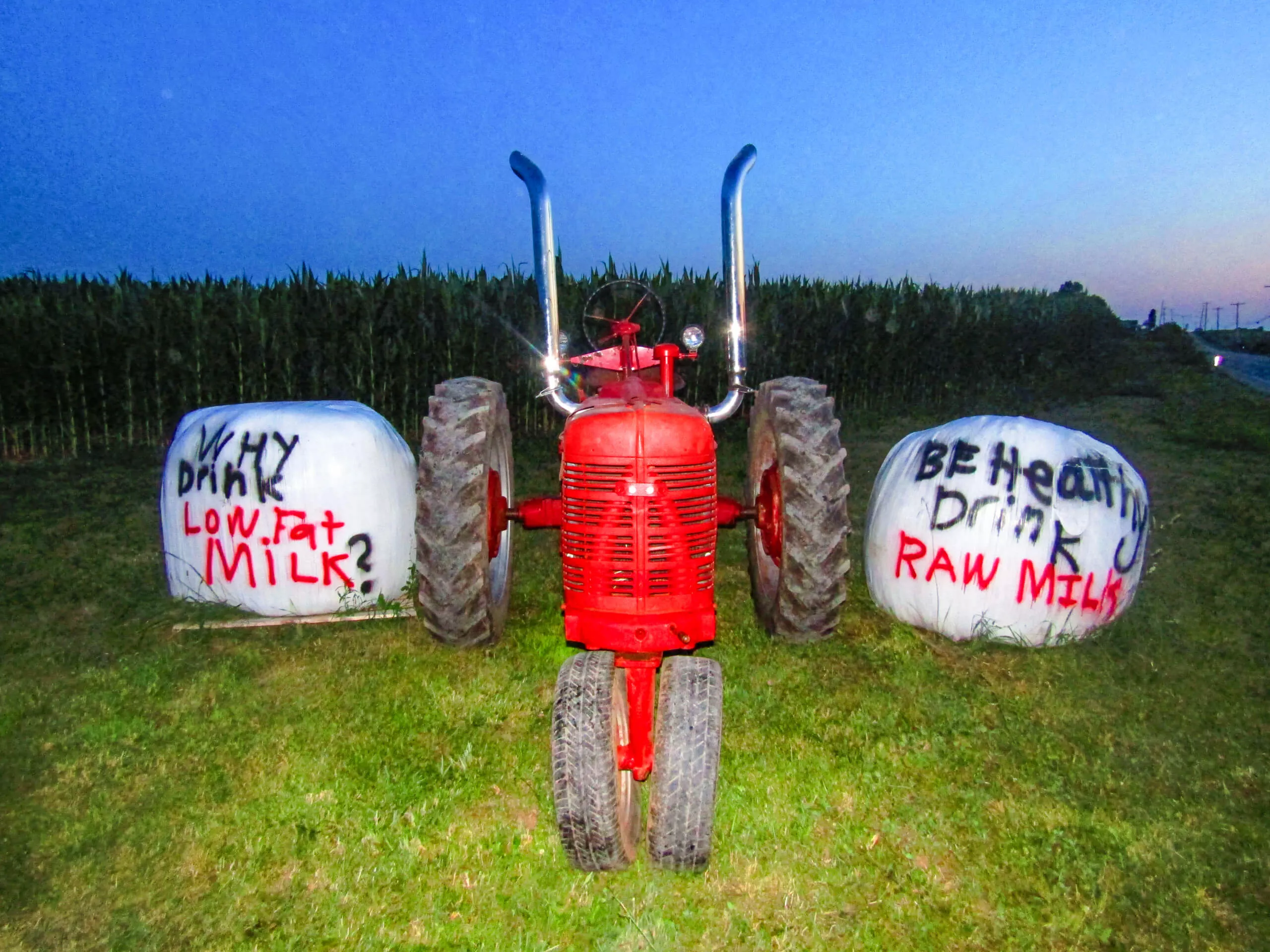 Bei Hollow Farm Raw Milk & Cheese in Elizabethville, PA (4)