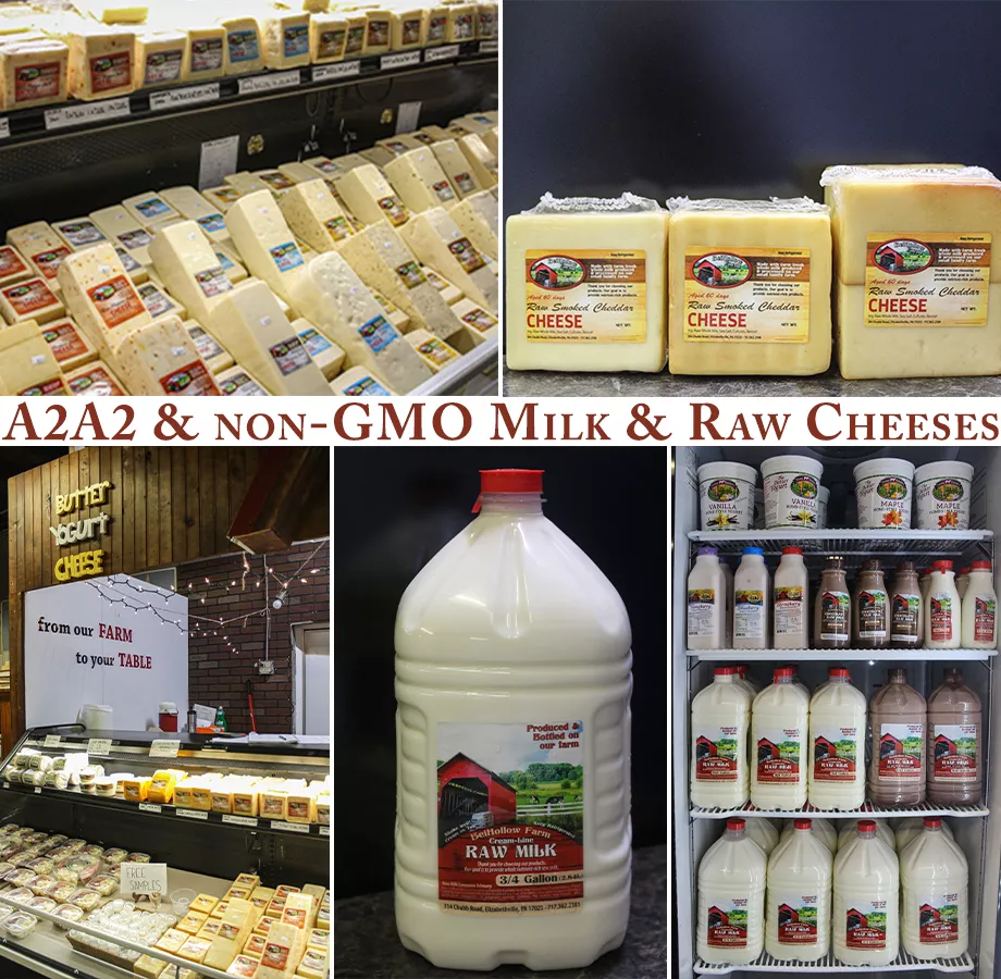Bei Hollow Farm Raw Milk & Cheese in Elizabethville, PA (6)