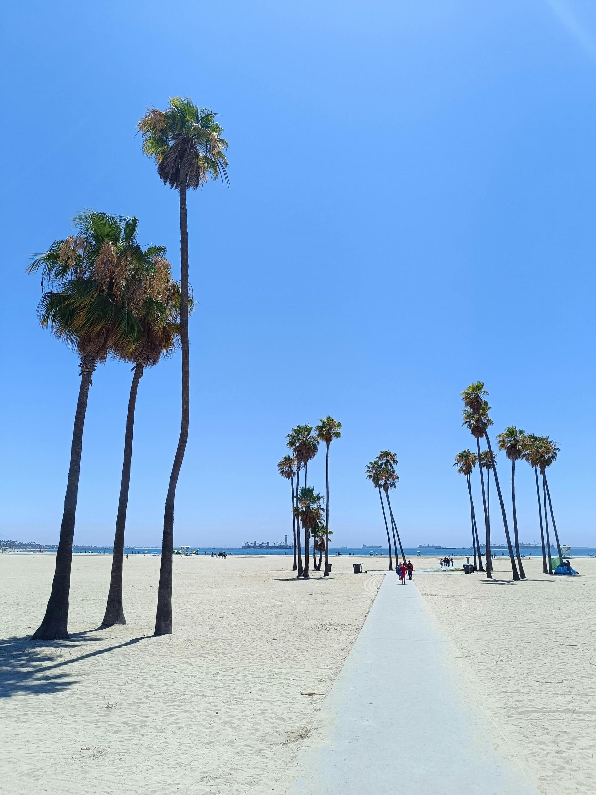 Allison Van Wig- Van Wig and Assoc Real Estate-KW in Long Beach, CA (2)