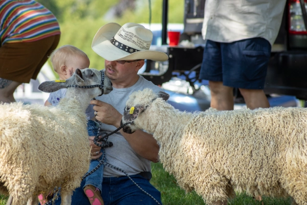 Wisconsin Sheep & Wool Festival in Jefferson, WI (2)