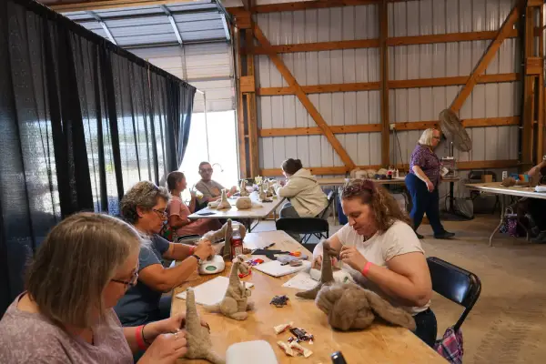 Wisconsin Sheep & Wool Festival in Jefferson, WI (3)