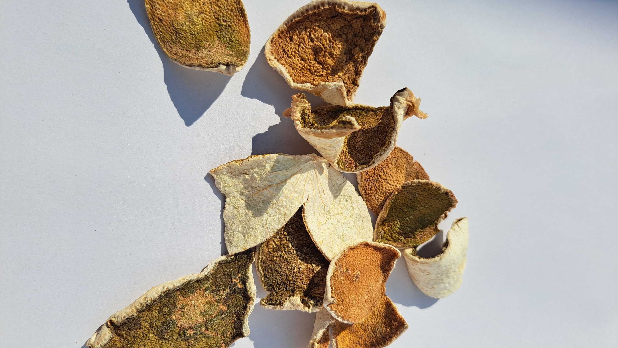 Woatome International Ltd. in Lombard, IL (4)