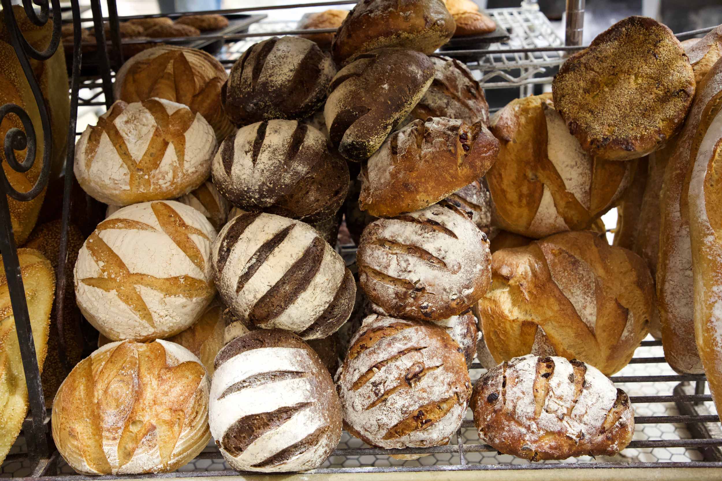 The Kneaded Bread in Port Chester, NY (2)