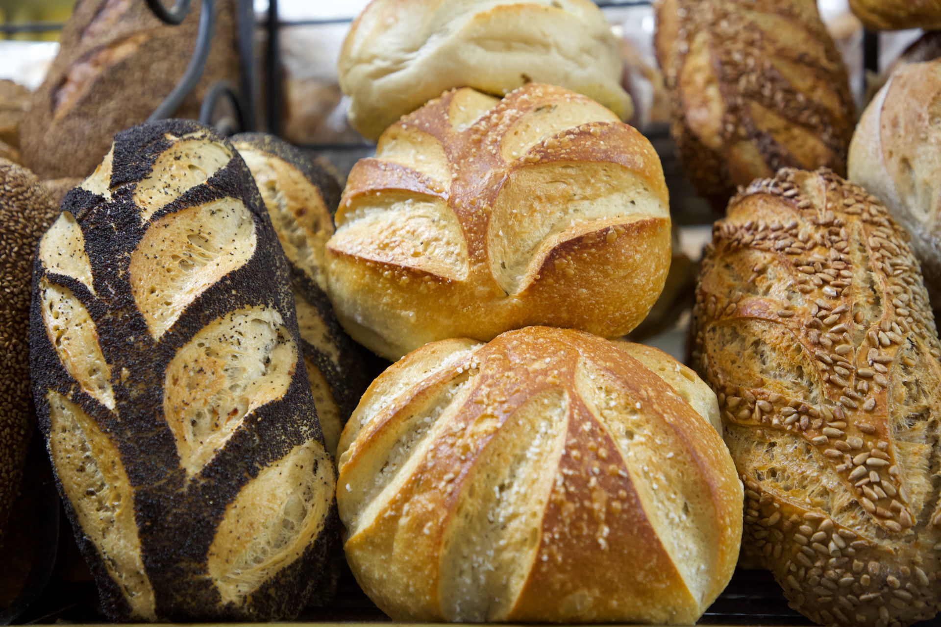 The Kneaded Bread in Port Chester, NY (4)