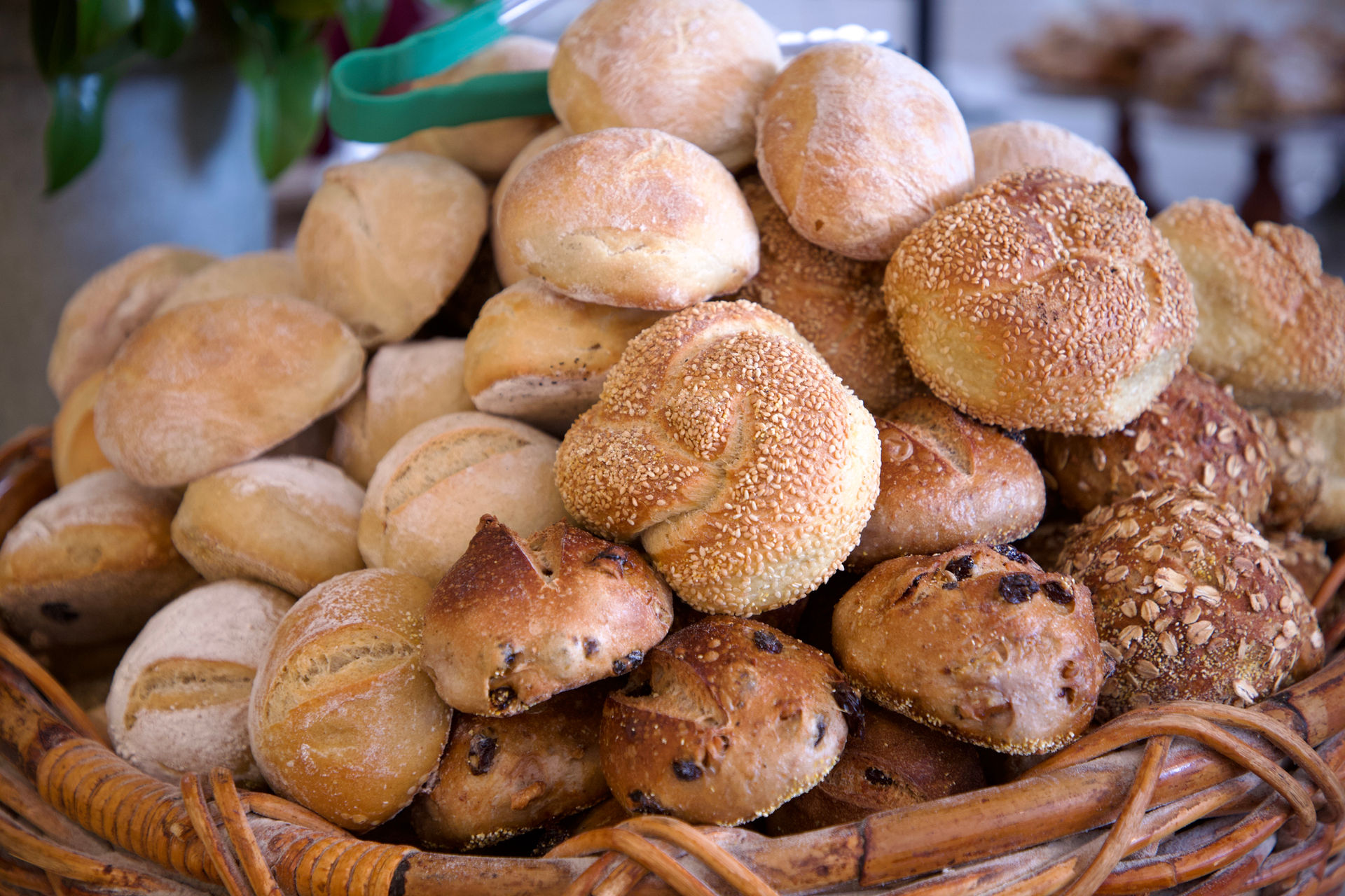 The Kneaded Bread in Port Chester, NY (5)