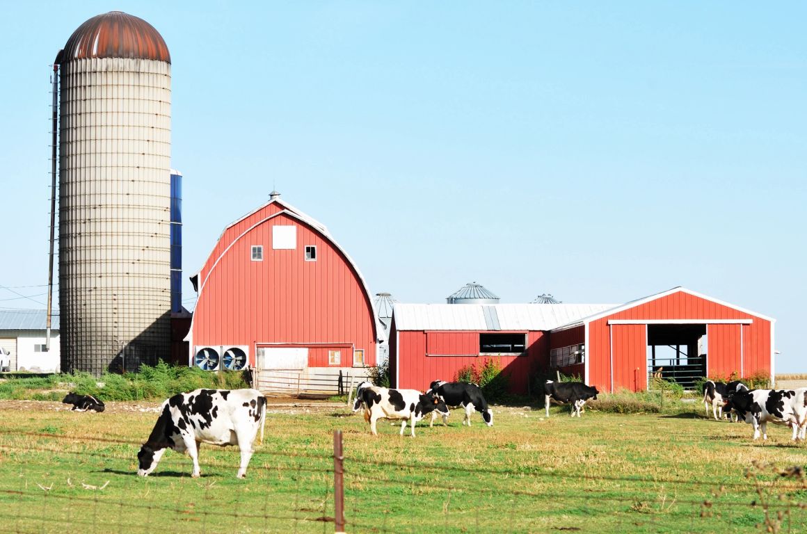 BAR - M Performance LLC in Auburndale, WI (4)
