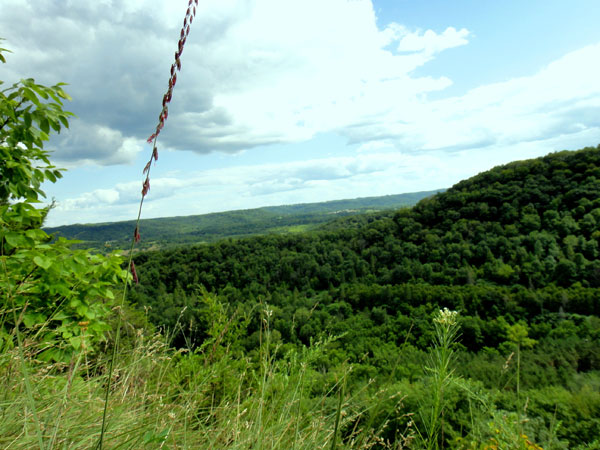 Kickapoo Valley Reserve Visitor Center in La Farge, WI (5)