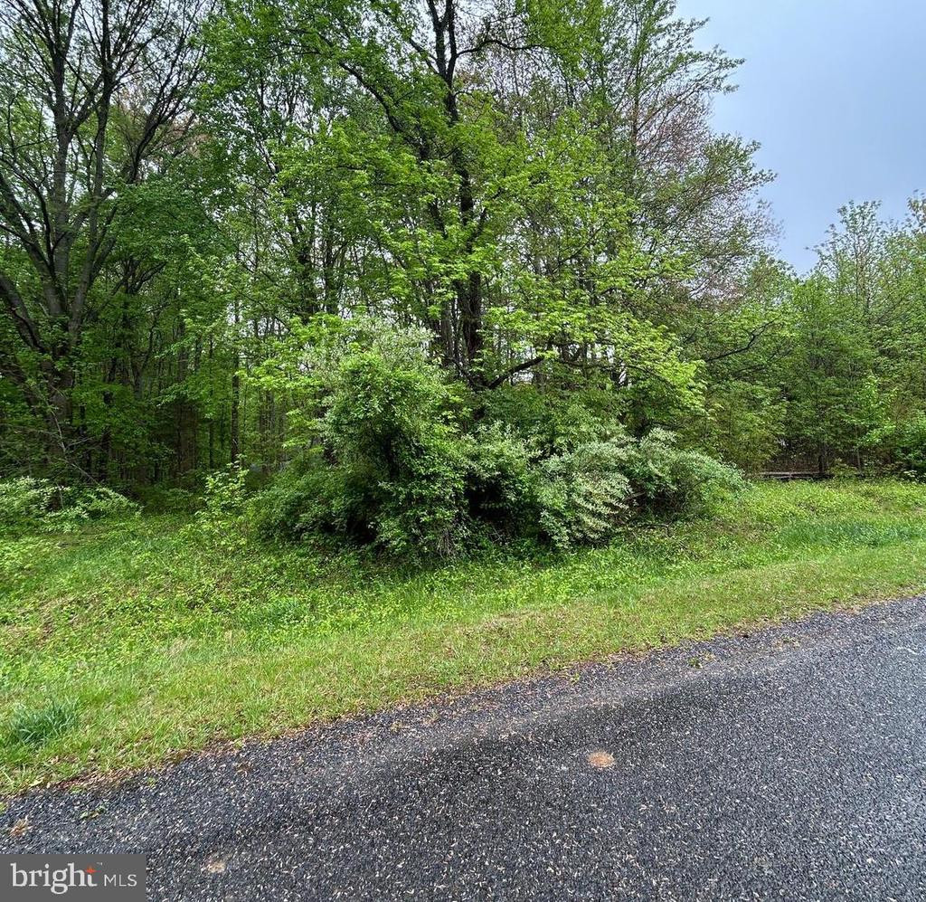 Amy Larrauri Real Estate @ Chesapeake Real Estate Associates, LLC in Chestertown, MD (3)