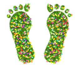 Little Rainbow Foot Spa in Solvang, CA (5)