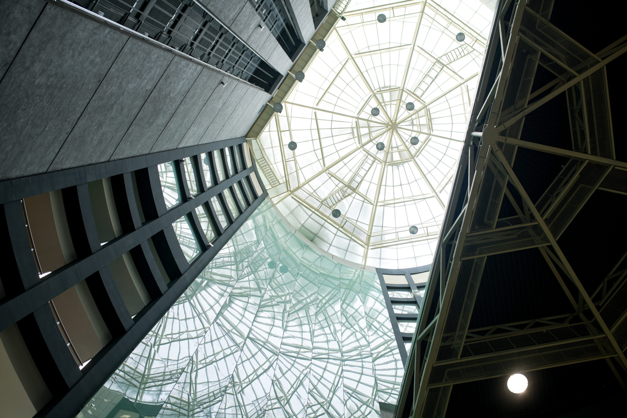 Bearstone Law, PLLC in Frisco, TX (2)