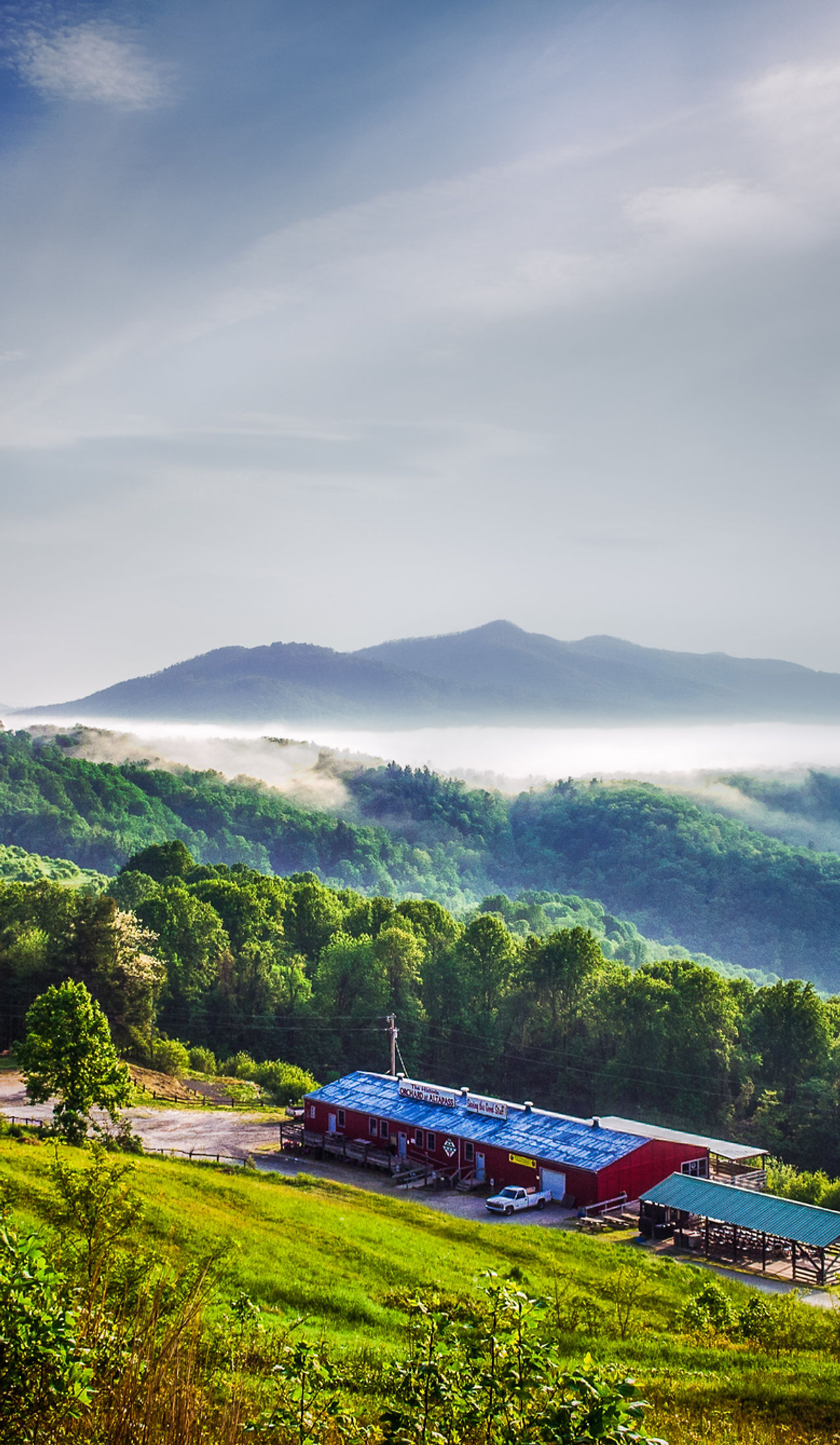 Anna Riddle CPA, PLLC in Weaverville, NC