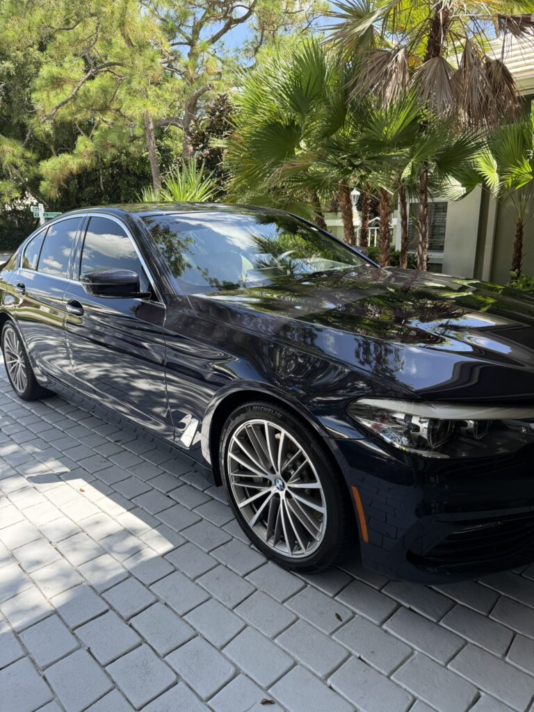 Palm Auto Detailing in Loxahatchee, FL (2)