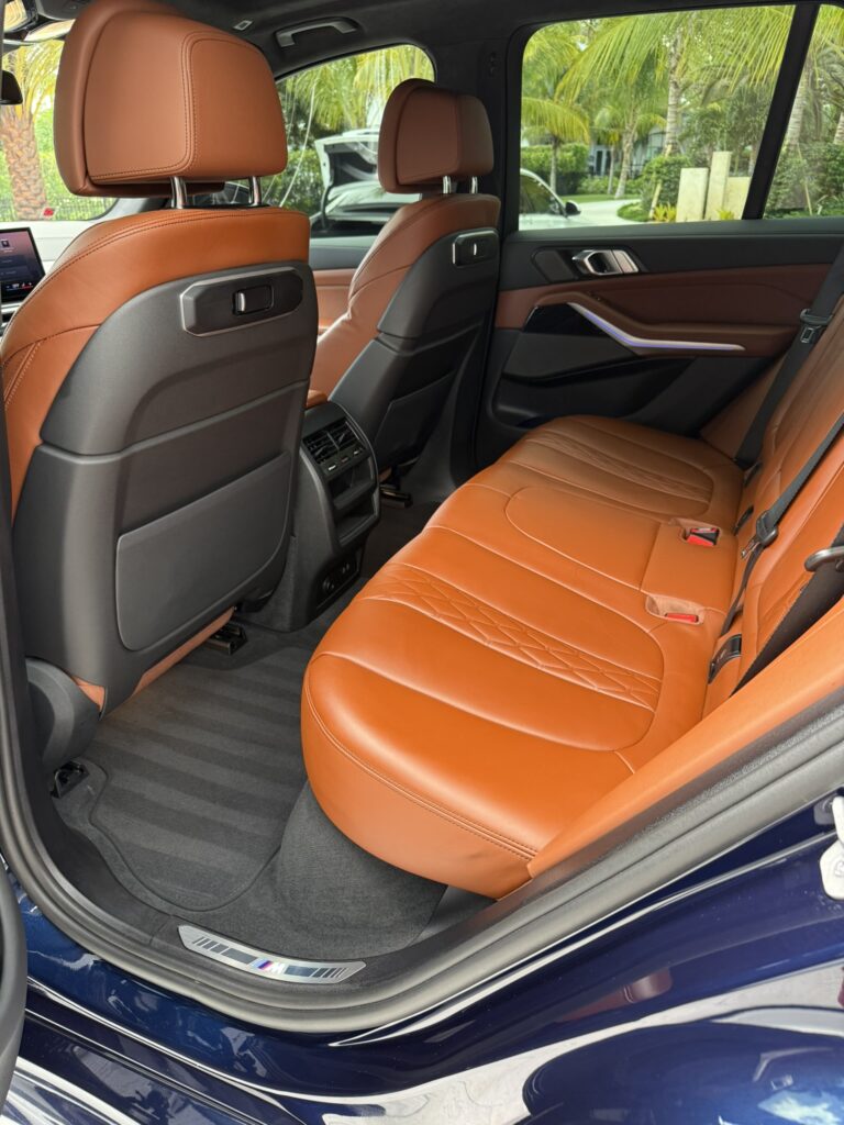 Palm Auto Detailing in Loxahatchee, FL (5)