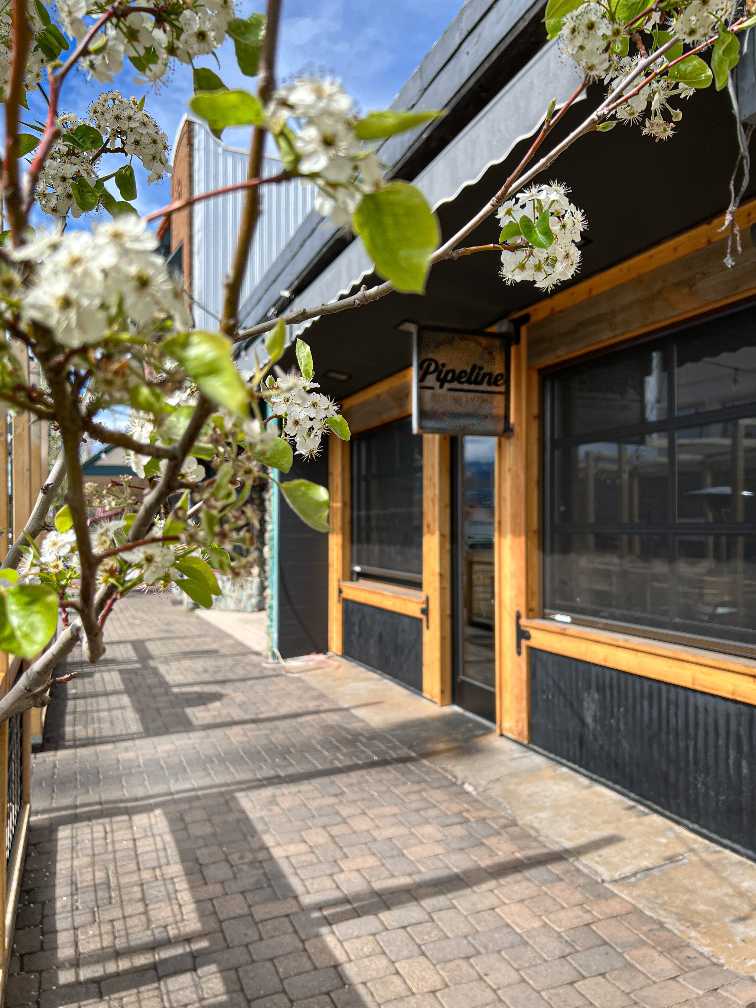Pipeline Craft Taps & Kitchen in Mt Shasta, CA