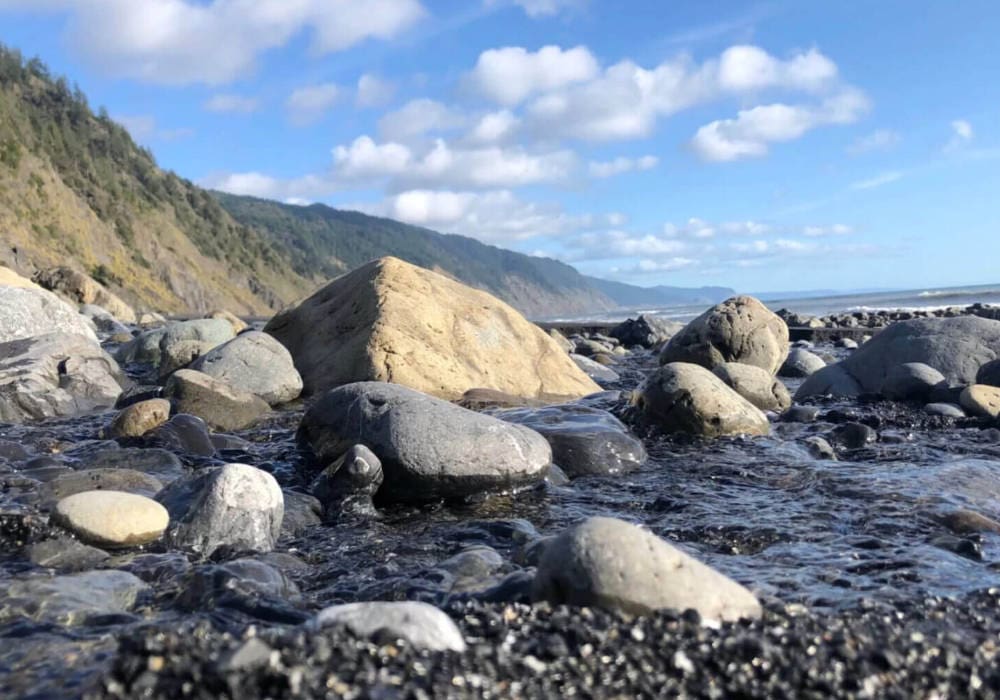 Black Sands Bistro in Whitethorn, CA (3)