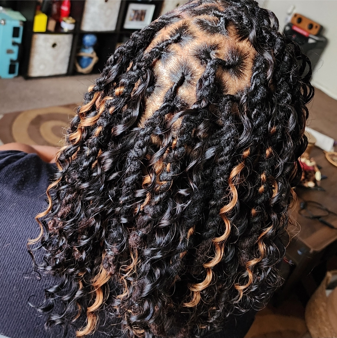 LudaBeeBraids in Orlando, FL (2)