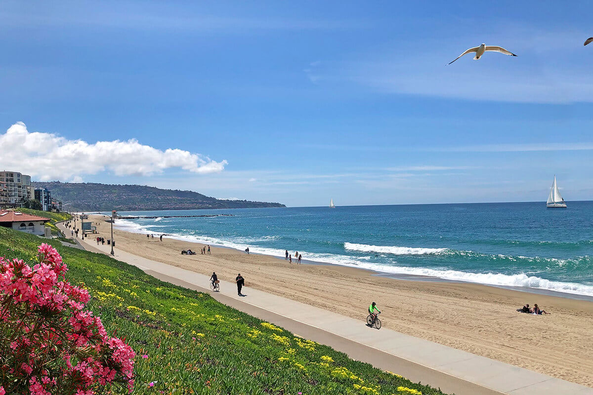 Teresa Hamme, eXp Realty of California in Hermosa Beach, CA (4)