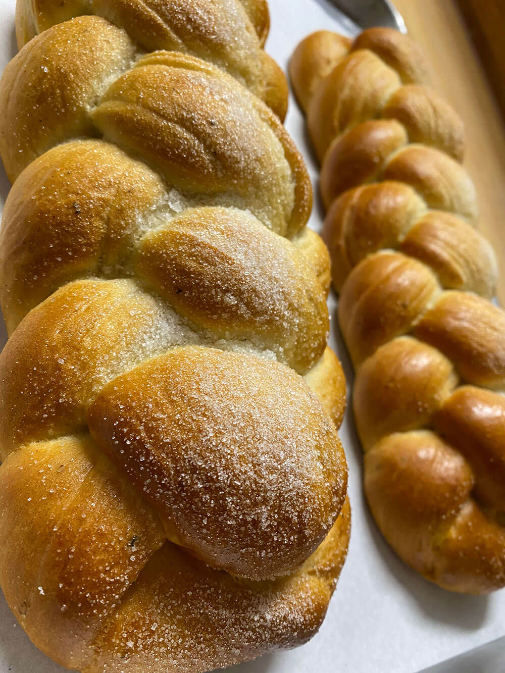 Palm Beach Bakery & Cafe in Lake Worth Corridor, FL (2)
