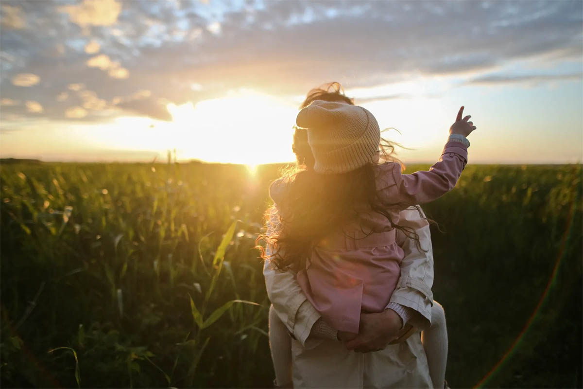 Family, Wealth & Legacy Legal Solutions in Oakbrook Terrace, IL (4)