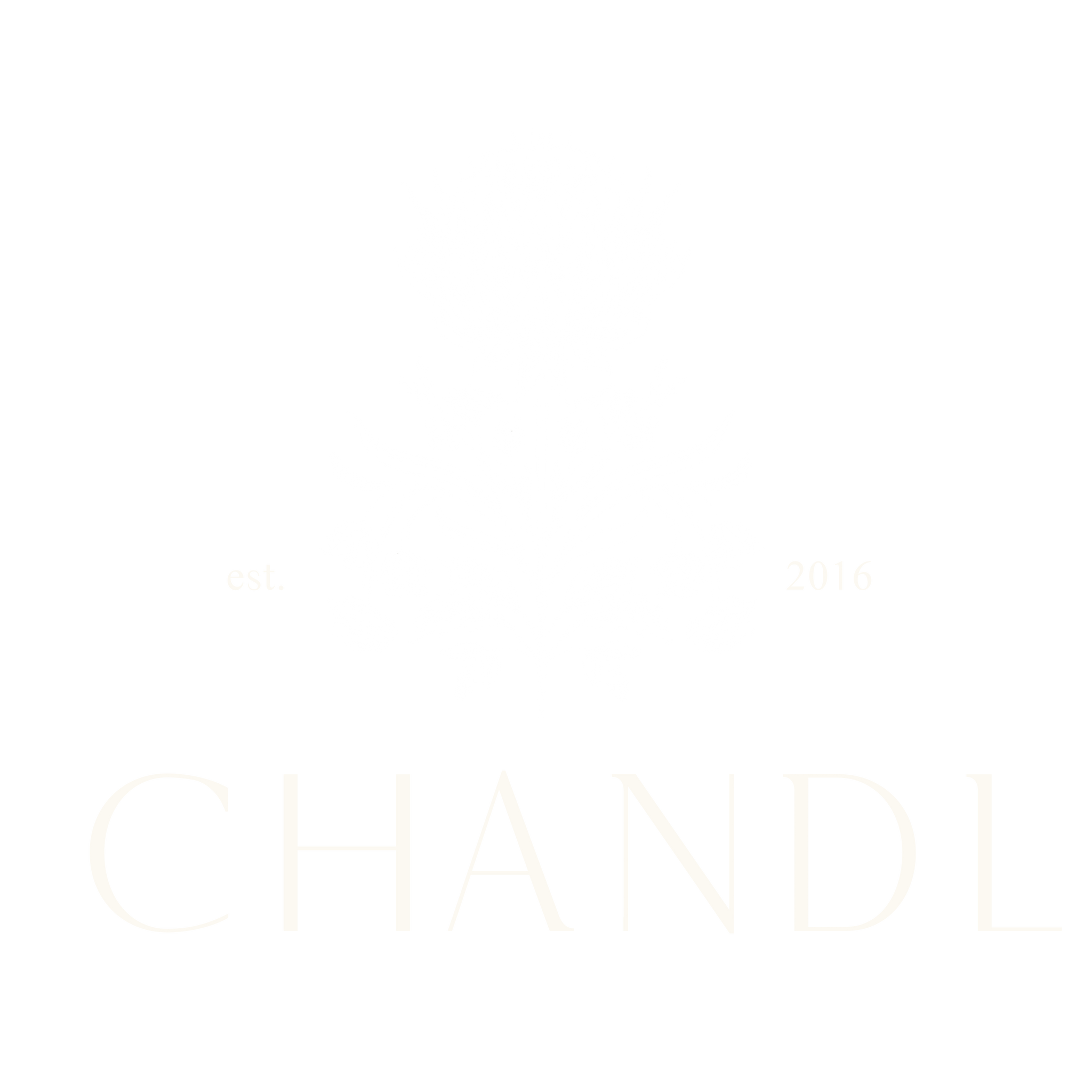 The Chandlerie in Christiansburg, VA (2)