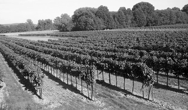 Chalk Law Office in Santa Rosa, CA