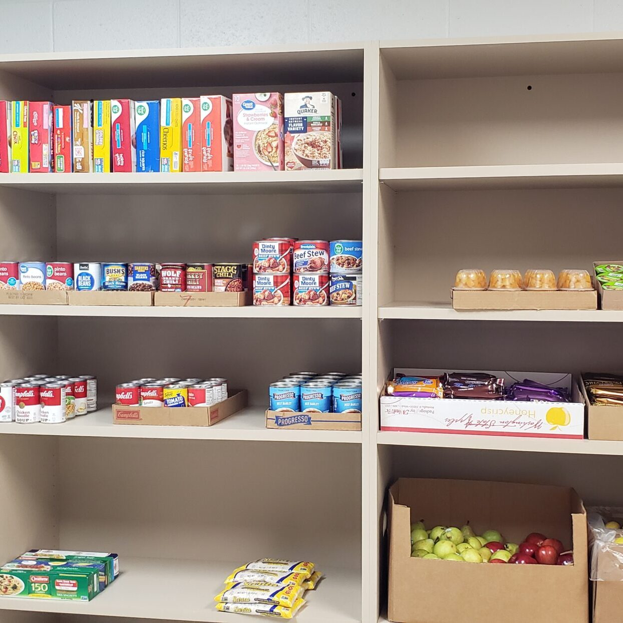 Sauk Prairie Area Food Pantry in Sauk City, WI (4)