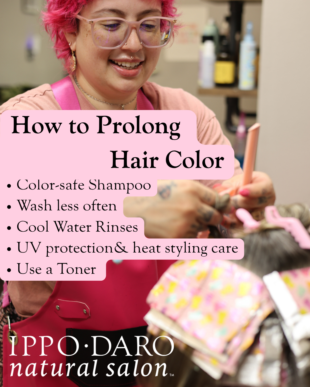 Ippodaro Natural Salon in San Antonio, TX (4)
