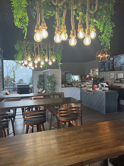 HaleLife Bakery & Bistro in St. Petersburg, FL (3)