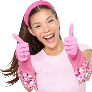Ecospark Cleaning Service in Santa Rosa, CA