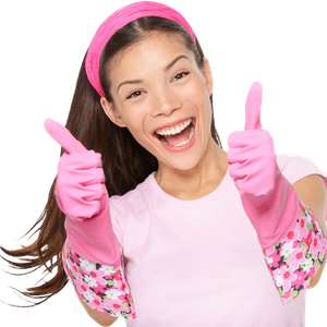 Ecospark Cleaning Service in Santa Rosa, CA (2)