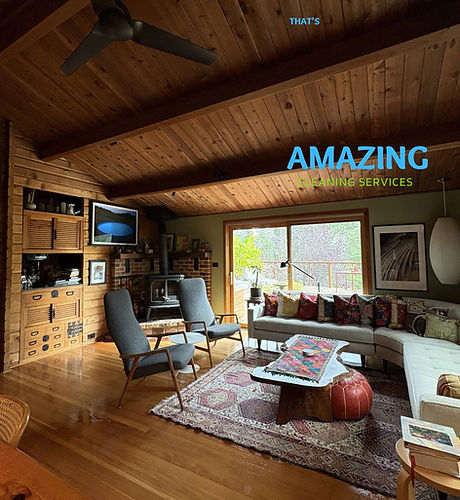 Amazing Cleaning Services in Petaluma, CA (4)