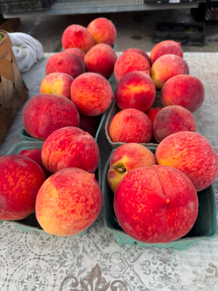 Oxford Farmers’ Market in Oxford, OH (4)