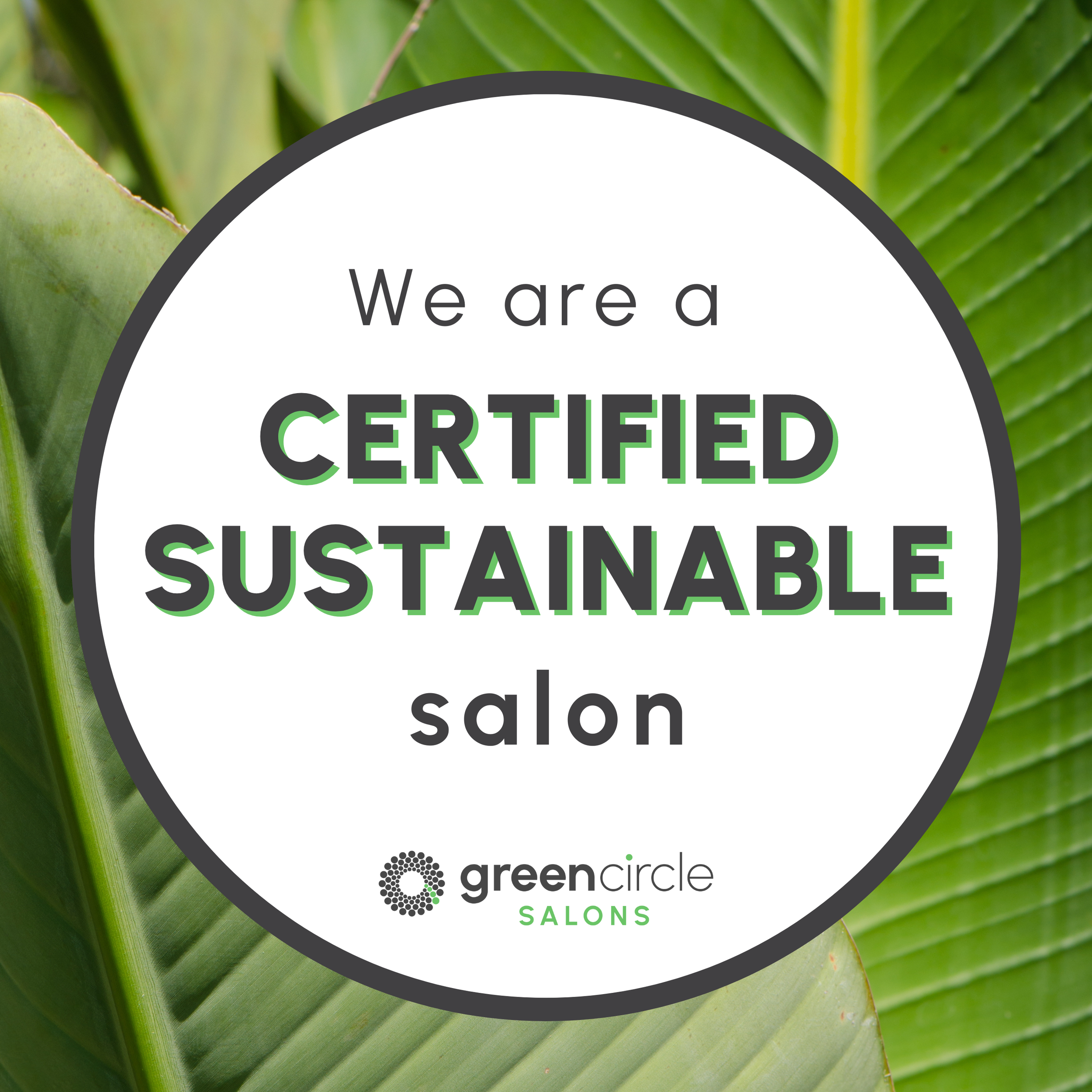 Soultuary Salon in Sarasota, FL