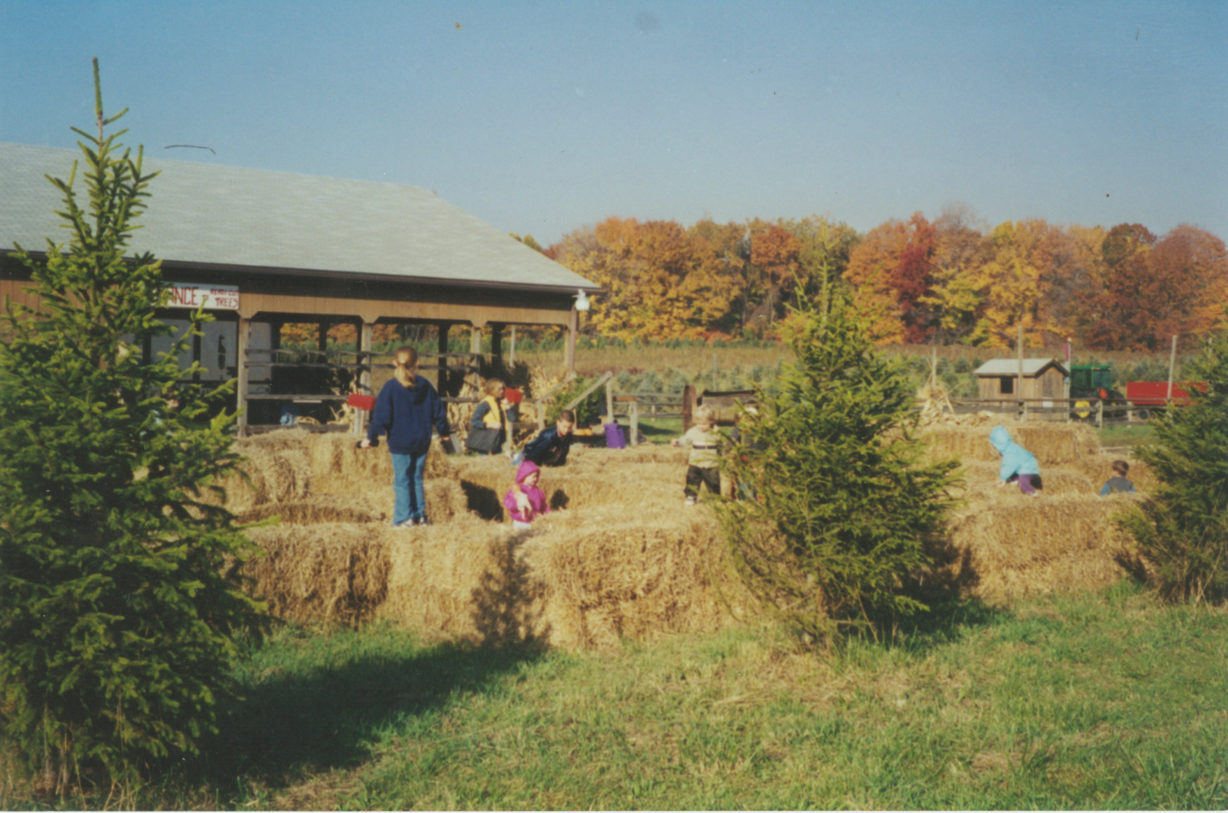 Galehouse Tree Farms in Doylestown, OH (3)