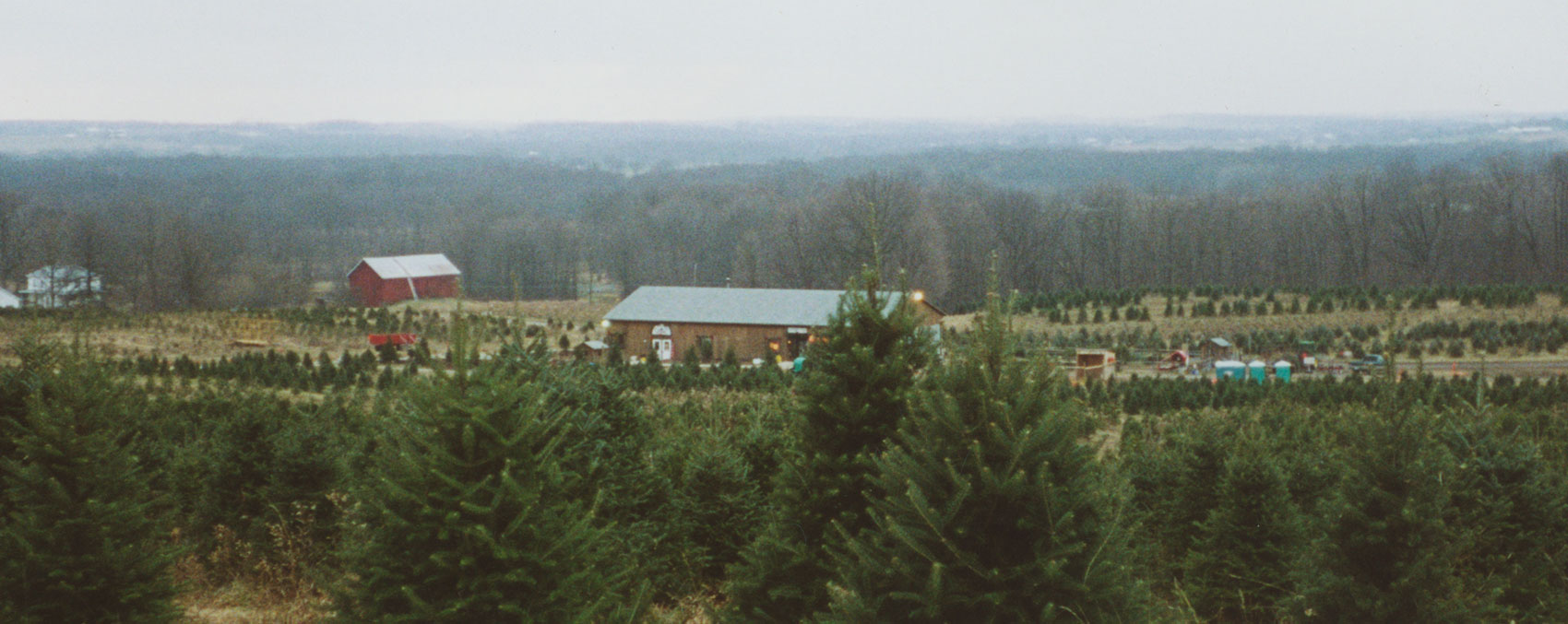 Galehouse Tree Farms in Doylestown, OH (4)