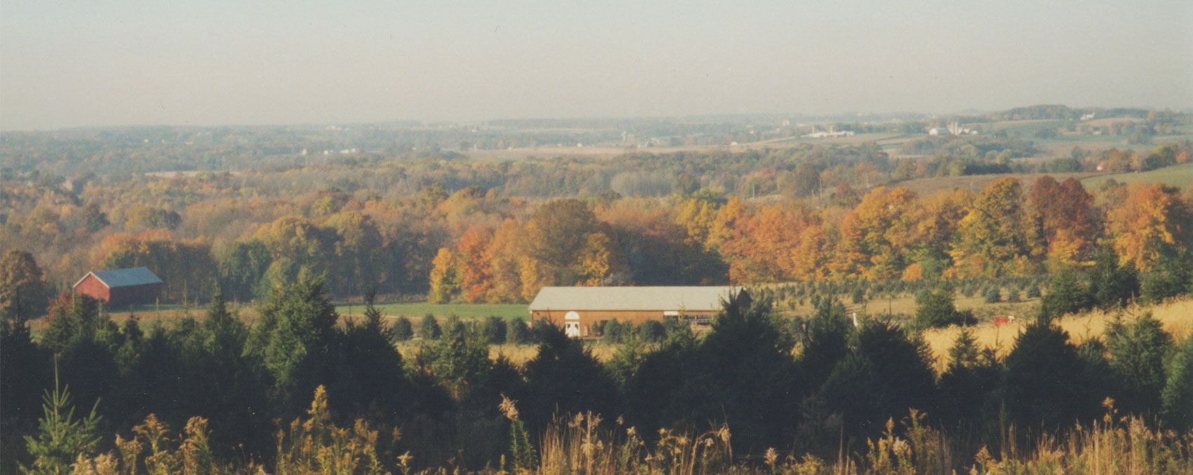 Galehouse Tree Farms in Doylestown, OH (5)