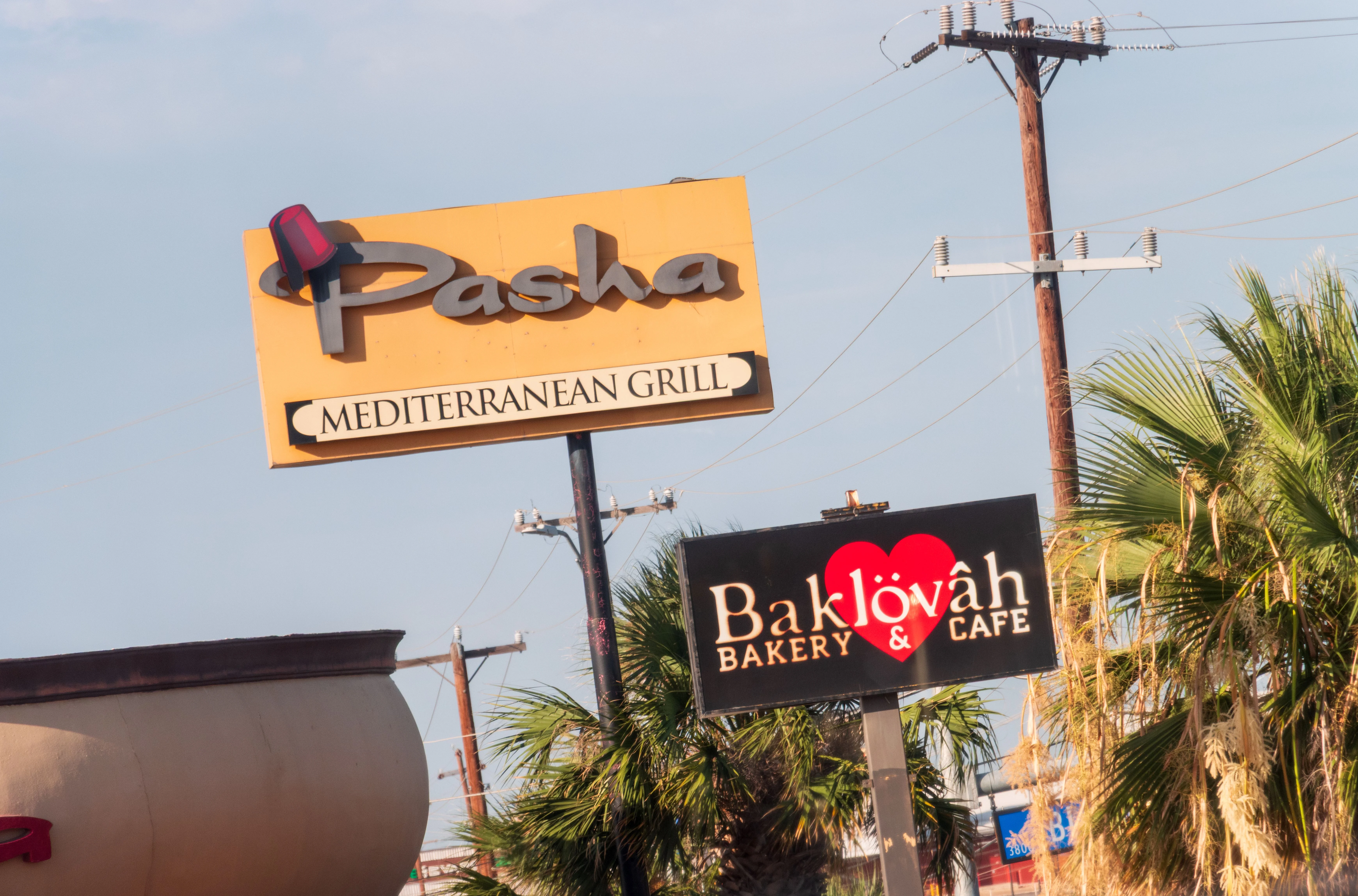 Pasha Mediterranean Grill in Selma, TX (4)