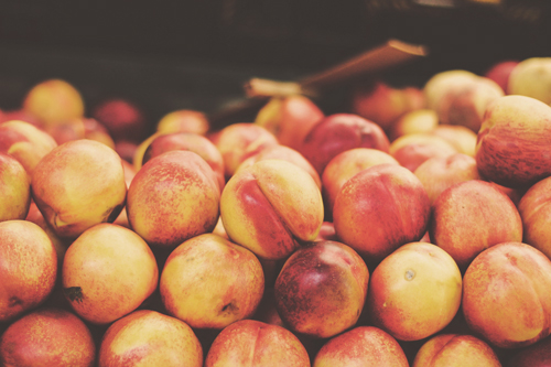 Panorama Orchards & Farm Market in Ellijay, GA (3)