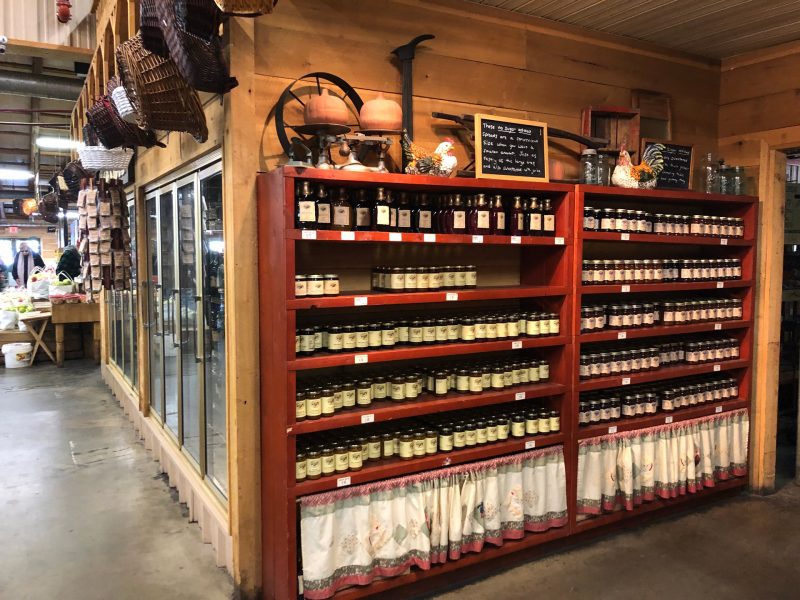 Panorama Orchards & Farm Market in Ellijay, GA (4)