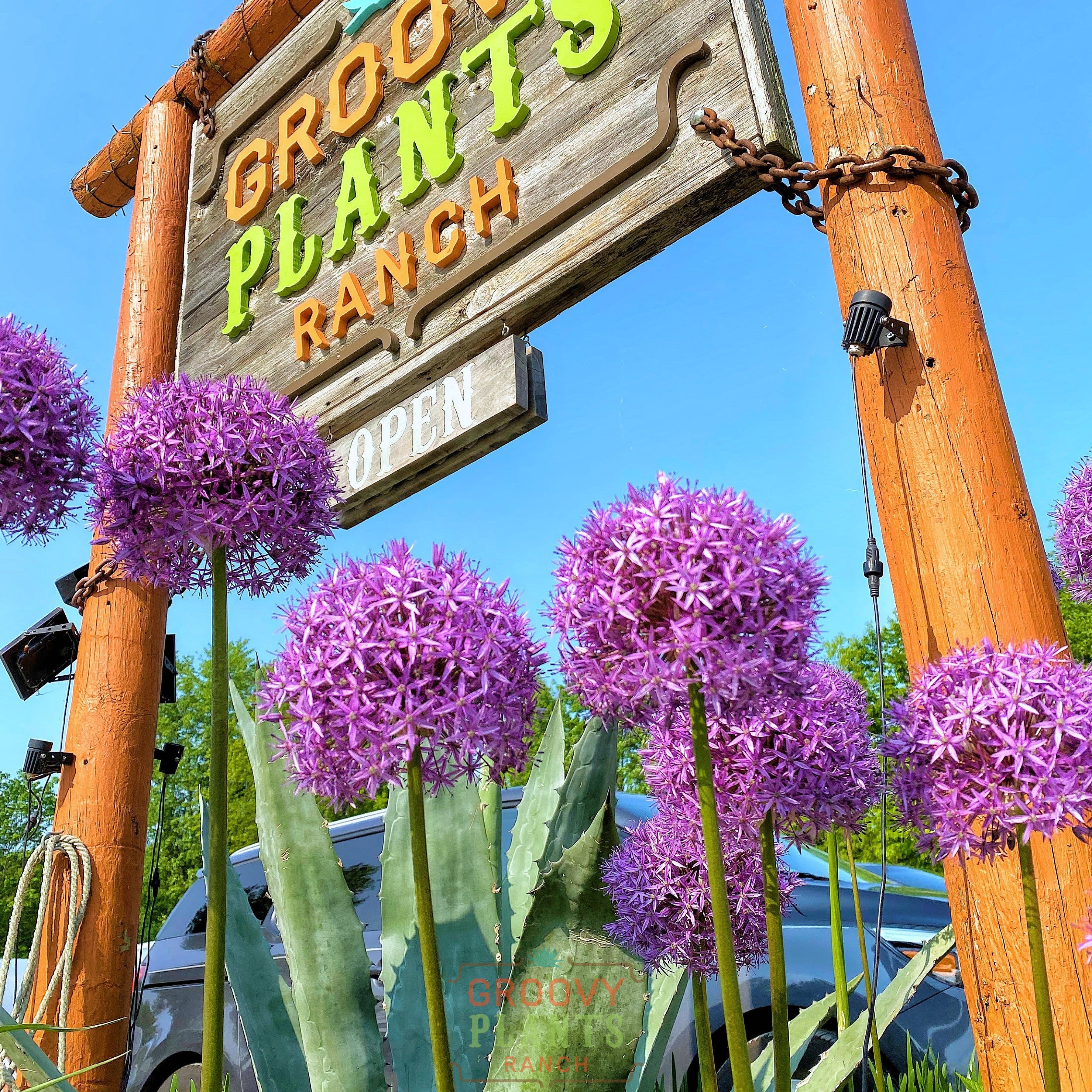 Groovy Plants Ranch in Marengo, OH (6)