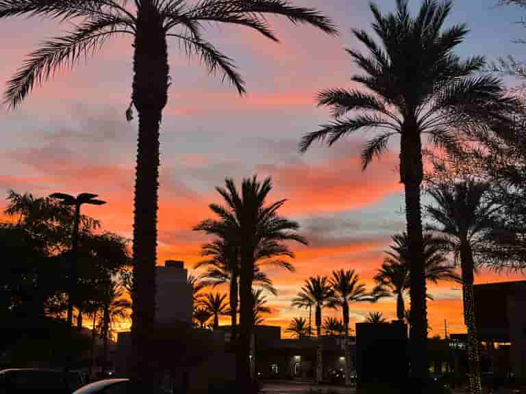 Cork & Fork in Indio, CA (5)