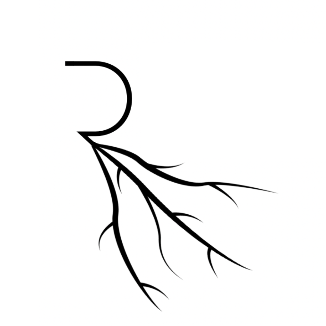 Rooted Hanford in Hanford, CA