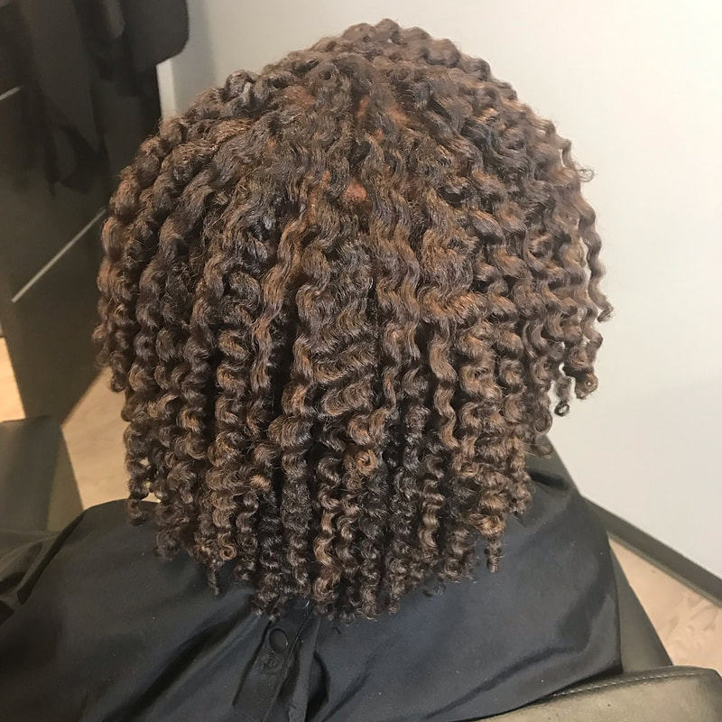 Embrace the Natural You LLC + Embrace Hair Art Salon in Royal Oak, MI (2)