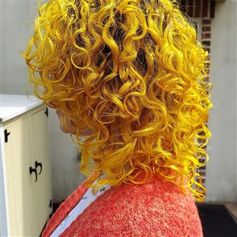 Rosapelo A Texture Above, LLC in Reading, PA (2)